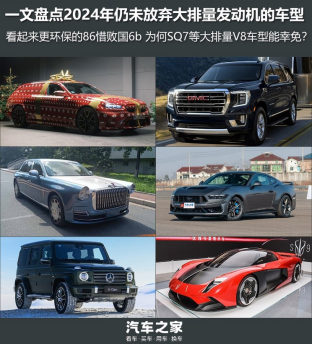 2024年仍未放弃大排量的车型