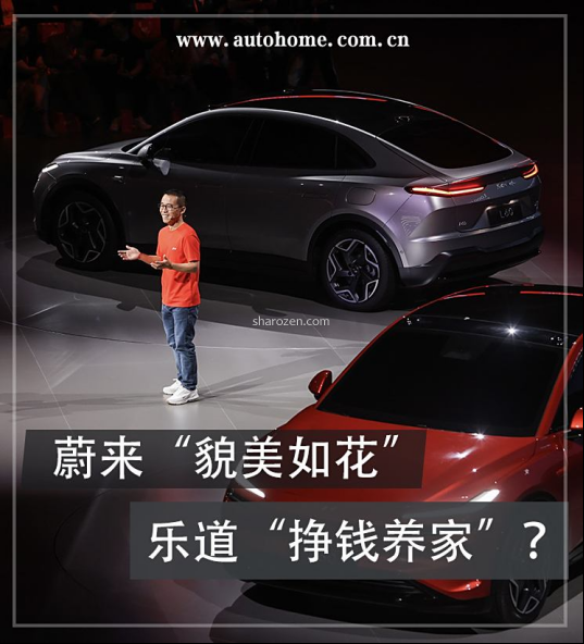 蔚来“貌美如花” 乐道“挣钱养家”